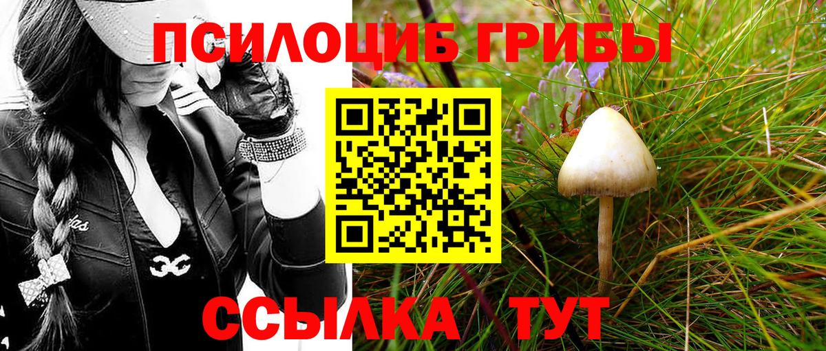 Псилоцибиновые грибы Psilocybe  Галлюциногенные грибы MAGIC MUSHROOMS  купить  сайты  Вход с VPN  Гулькевичи 