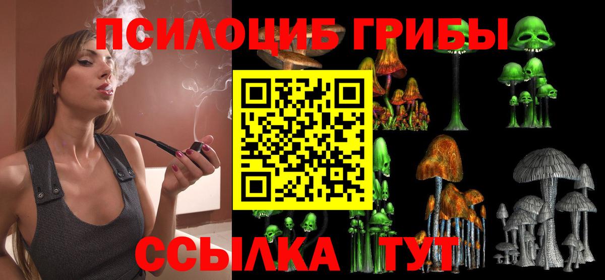 Псилоцибиновые грибы прущие грибы Гулькевичи